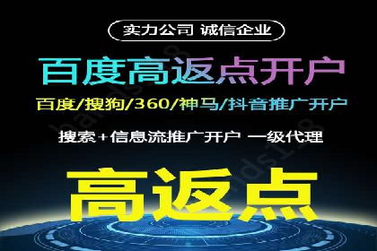 从零到一：企业如何通过百度竞价实现快速增长？——以某公司为例